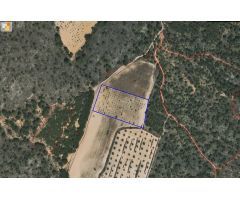 Parcela en Venta en Yecla, Murcia