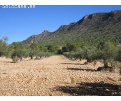 Parcela en Venta en Yecla, Murcia