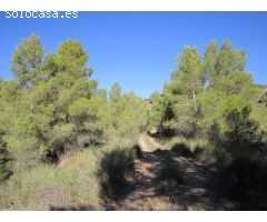 Parcela en Venta en Yecla, Murcia