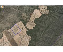 Parcela en Venta en Yecla, Murcia