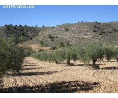 Parcela en Venta en Yecla, Murcia