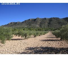 Parcela en Venta en Yecla, Murcia