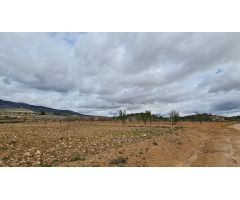 Parcela en Venta en Jumilla, Murcia