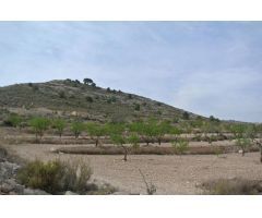 Parcela en Venta en Jumilla, Murcia