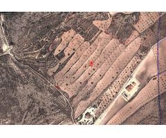 Parcela en Venta en Jumilla, Murcia