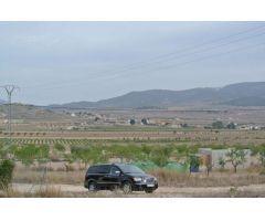 Parcela en Venta en Jumilla, Murcia
