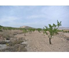 Parcela en Venta en Jumilla, Murcia