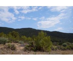 Parcela en Venta en Yecla, Murcia