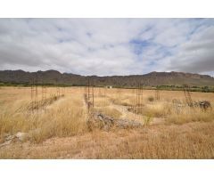Parcela en Venta en Yecla, Murcia