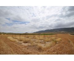 Parcela en Venta en Yecla, Murcia