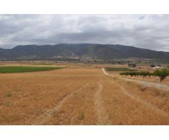 Parcela en Venta en Yecla, Murcia