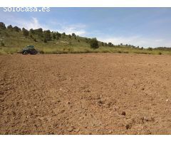 Parcela en Venta en Yecla, Murcia