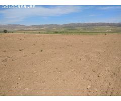 Parcela en Venta en Yecla, Murcia