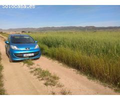 Parcela en Venta en Yecla, Murcia