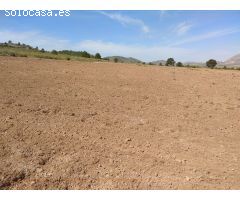 Parcela en Venta en Yecla, Murcia