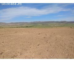 Parcela en Venta en Yecla, Murcia