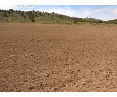 Parcela en Venta en Yecla, Murcia