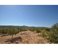 Parcela en Venta en Abanillas, Murcia