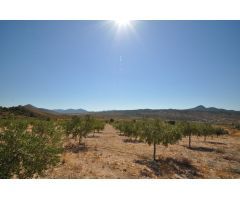 Parcela en Venta en Abanillas, Murcia