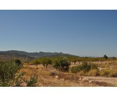 Parcela en Venta en Abanillas, Murcia