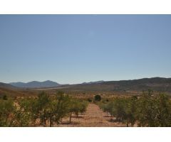 Parcela en Venta en Abanillas, Murcia