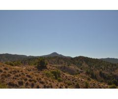 Parcela en Venta en Abanillas, Murcia
