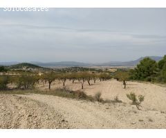 Parcela en Venta en Abanillas, Murcia