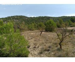 Parcela en Venta en Abanillas, Murcia