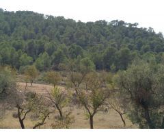 Parcela en Venta en Abanillas, Murcia