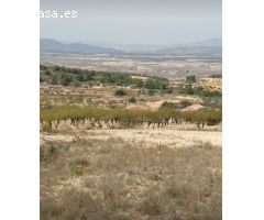 Parcela en Venta en Abanillas, Murcia