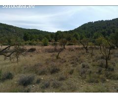 Parcela en Venta en Abanillas, Murcia