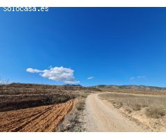 Parcela en Venta en Yecla, Murcia