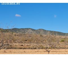 Parcela en Venta en Yecla, Murcia