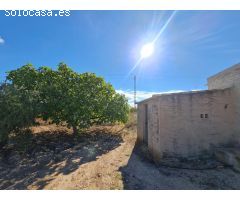 Parcela en Venta en Yecla, Murcia