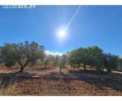 Parcela en Venta en Yecla, Murcia