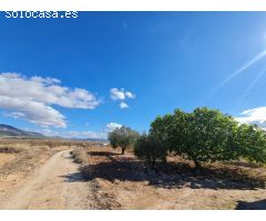 Parcela en Venta en Yecla, Murcia