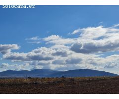 Parcela en Venta en Yecla, Murcia