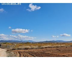 Parcela en Venta en Yecla, Murcia