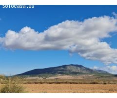 Parcela en Venta en Yecla, Murcia