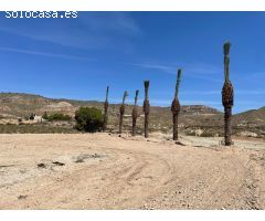 Parcela en Venta en Abanillas, Murcia
