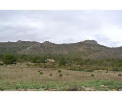Parcela en Venta en Yecla, Murcia