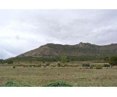 Parcela en Venta en Yecla, Murcia