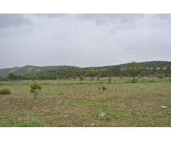 Parcela en Venta en Yecla, Murcia