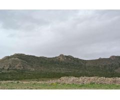 Parcela en Venta en Yecla, Murcia