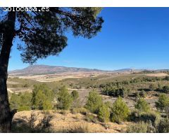 Parcela en Venta en Jumilla, Murcia