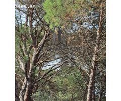 PARCELA EN PINARES DEL JUCAR