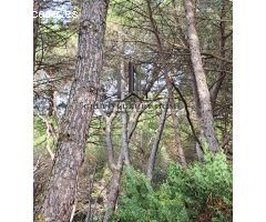 PARCELA EN PINARES DEL JUCAR