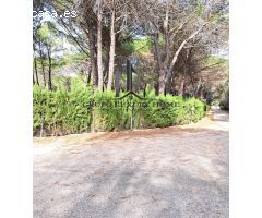 PARCELA EN PINARES DEL JUCAR