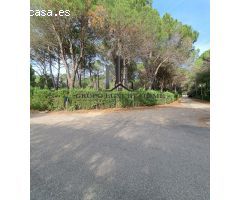 PARCELA EN PINARES DEL JUCAR