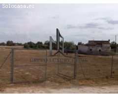 SE VENDE TERRENO URBANIZACION CASAS VIEJAS